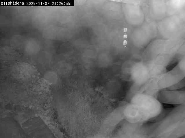 最新監視カメラ画像