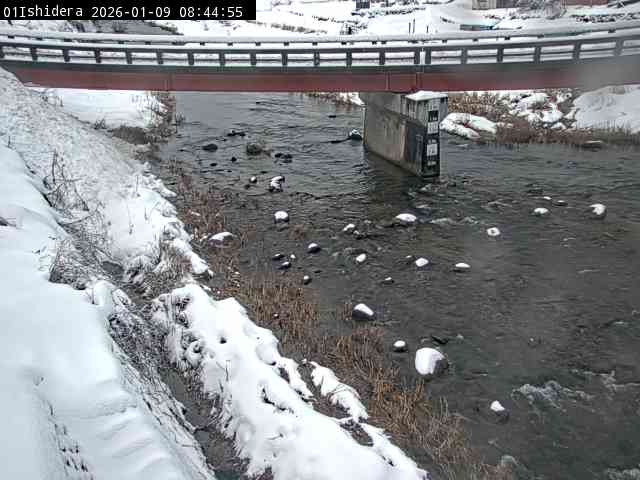 最新監視カメラ画像