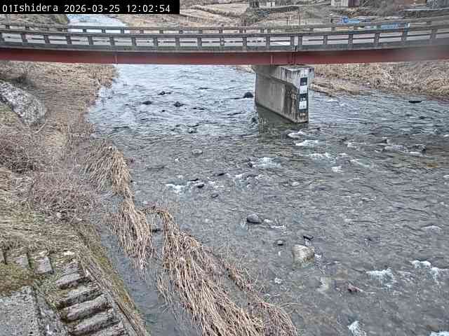 最新監視カメラ画像