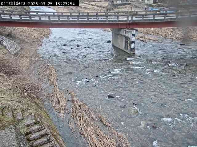 最新監視カメラ画像