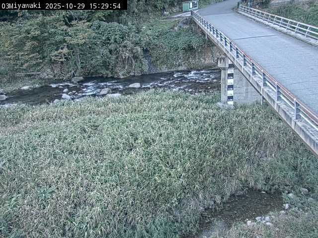 最新監視カメラ画像