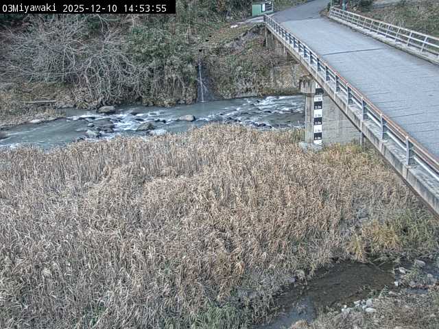 最新監視カメラ画像