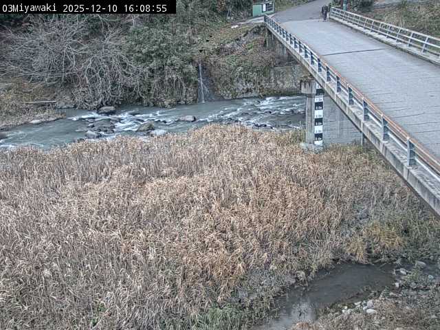 最新監視カメラ画像