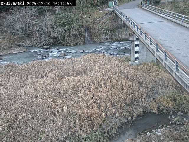 最新監視カメラ画像