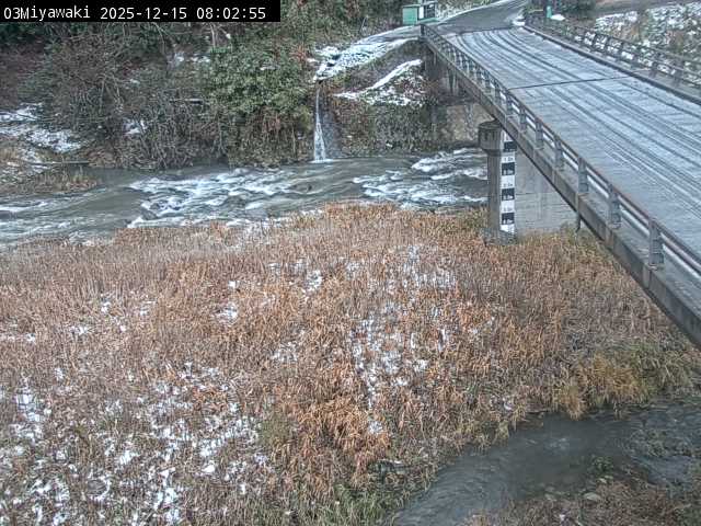 最新監視カメラ画像