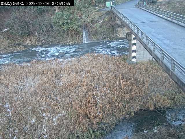 最新監視カメラ画像