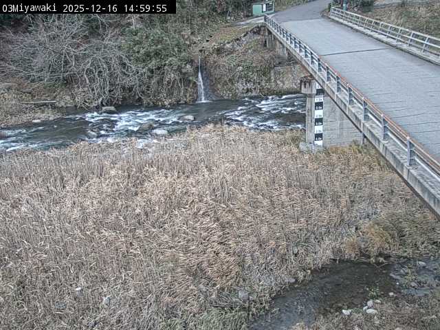 最新監視カメラ画像