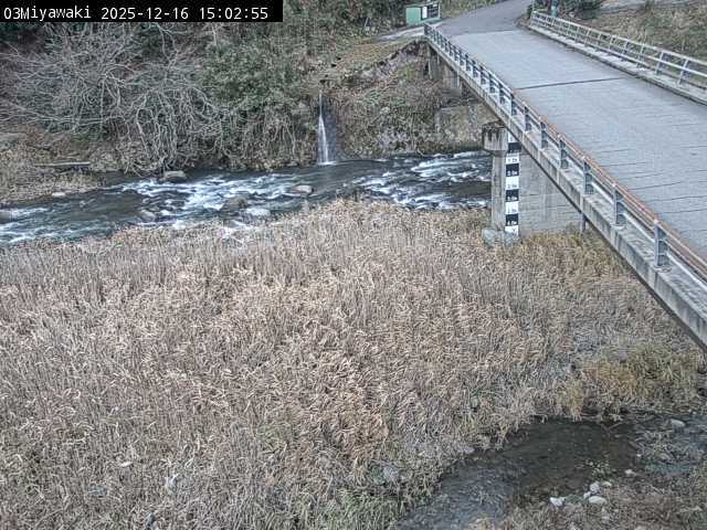 最新監視カメラ画像