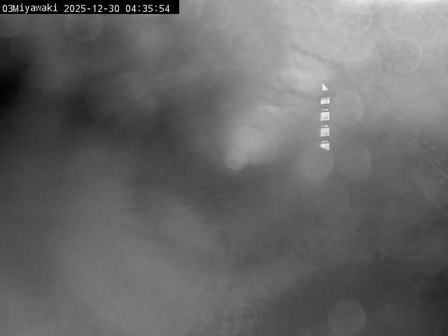 最新監視カメラ画像