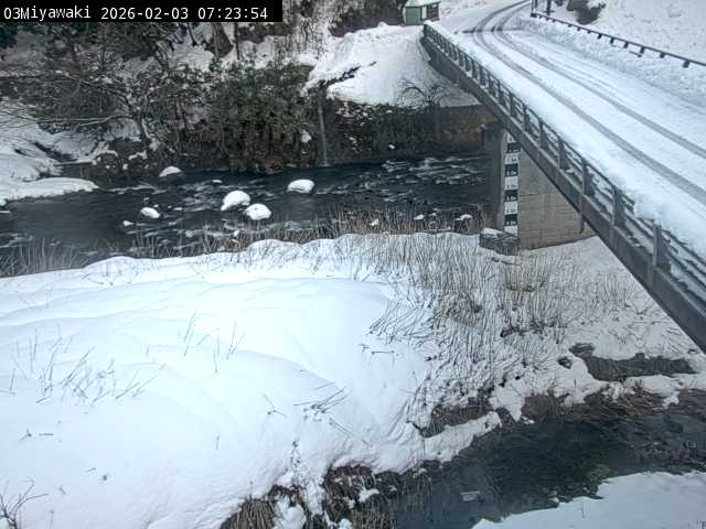 最新監視カメラ画像