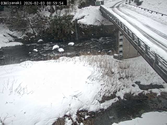 最新監視カメラ画像