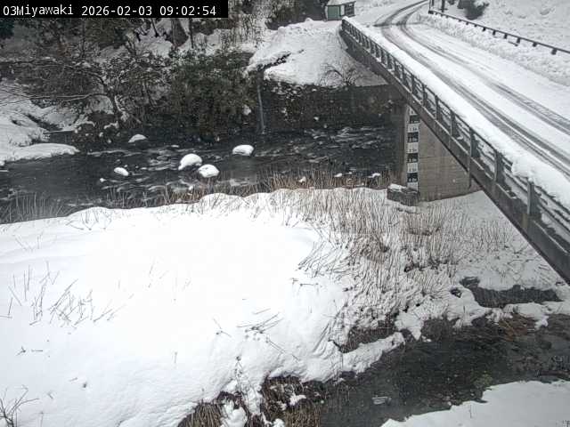 最新監視カメラ画像