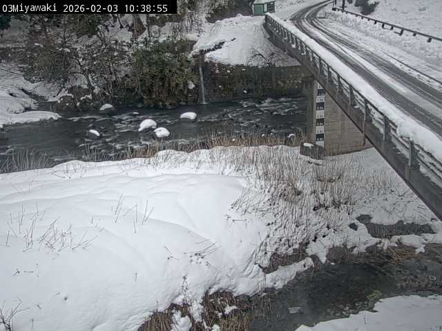 最新監視カメラ画像