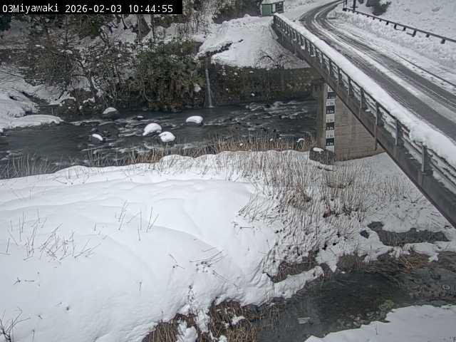 最新監視カメラ画像