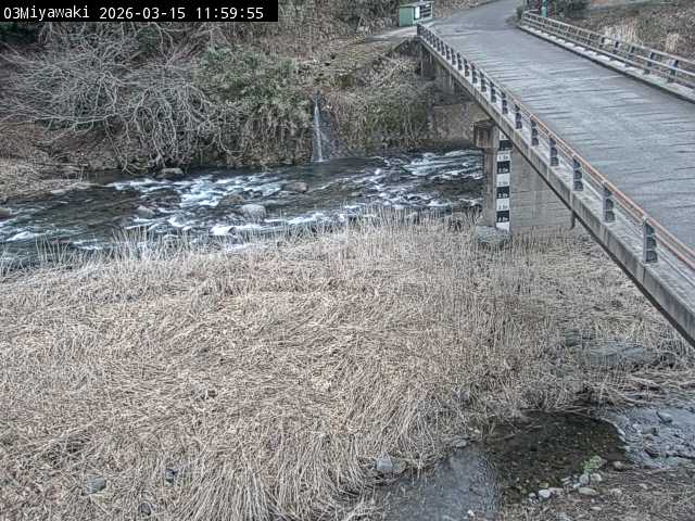 最新監視カメラ画像