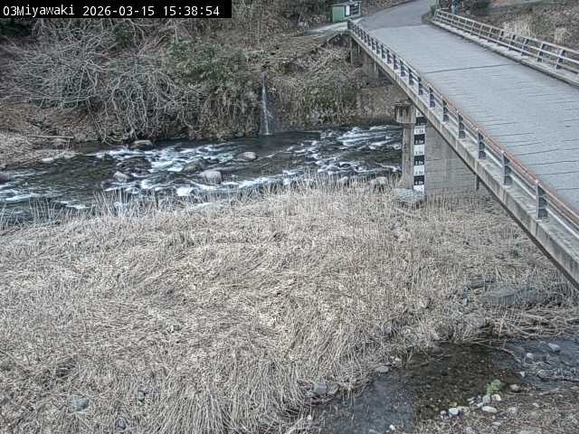 最新監視カメラ画像