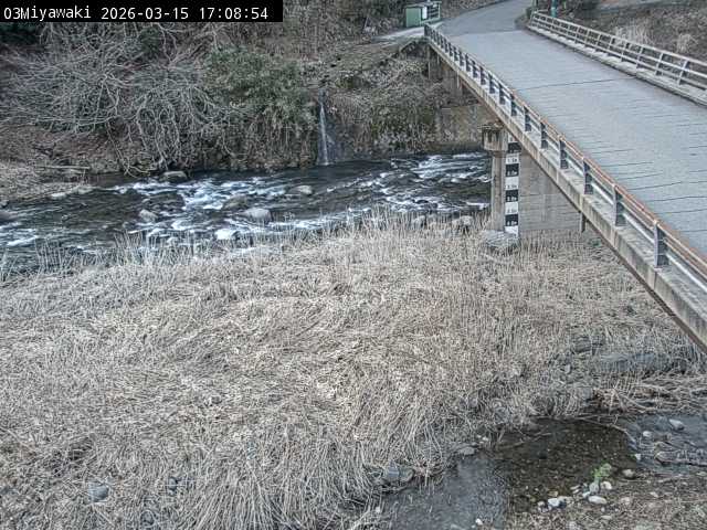 最新監視カメラ画像