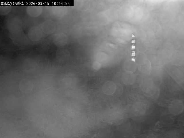 最新監視カメラ画像