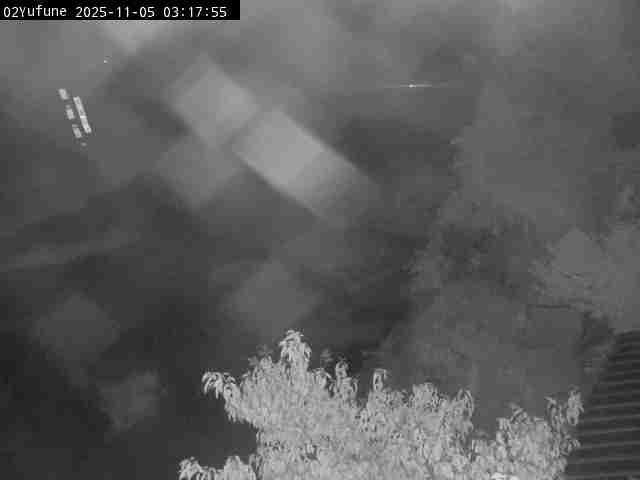 最新監視カメラ画像