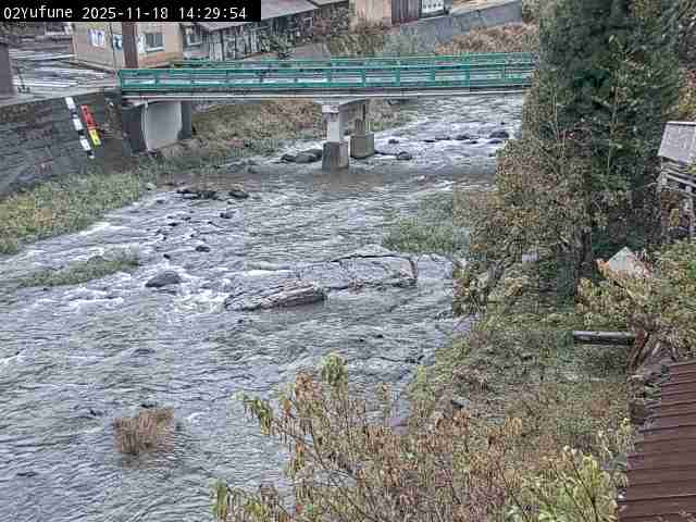 最新監視カメラ画像