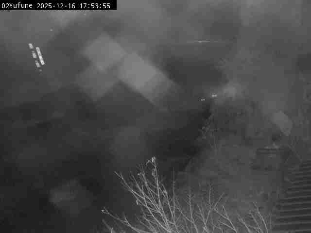 最新監視カメラ画像