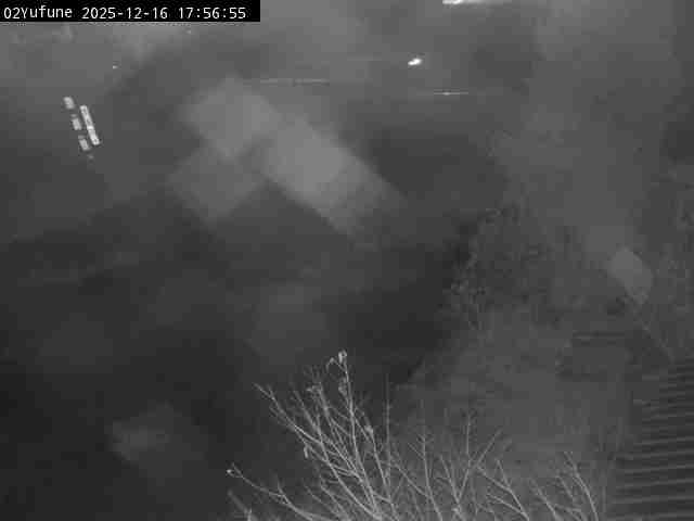 最新監視カメラ画像