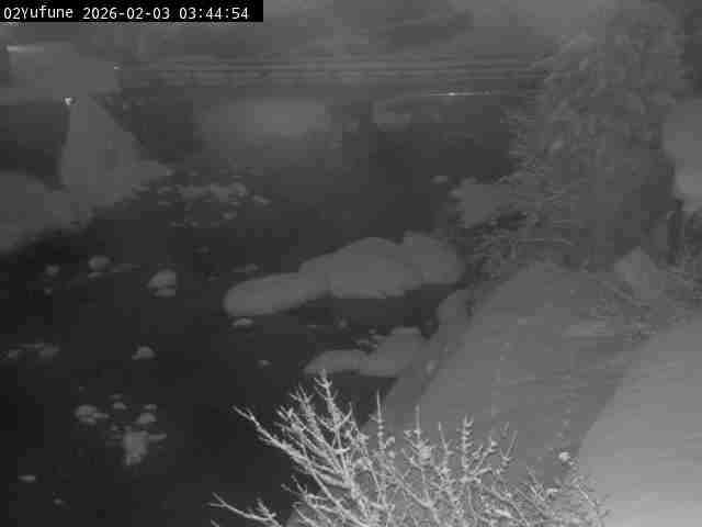 最新監視カメラ画像