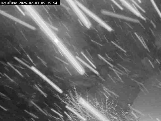 最新監視カメラ画像