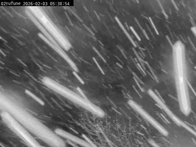 最新監視カメラ画像