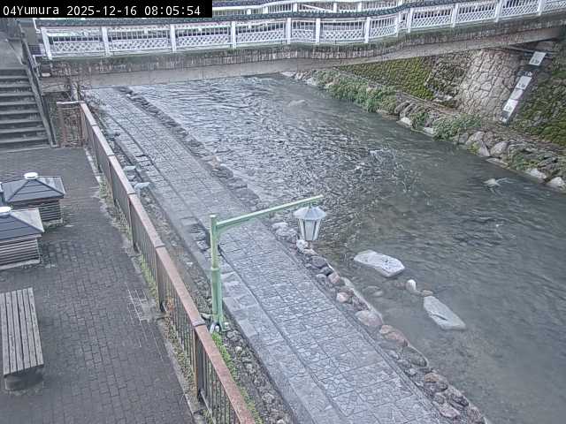 最新監視カメラ画像