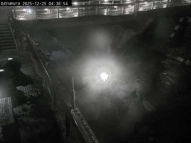 最新監視カメラ画像