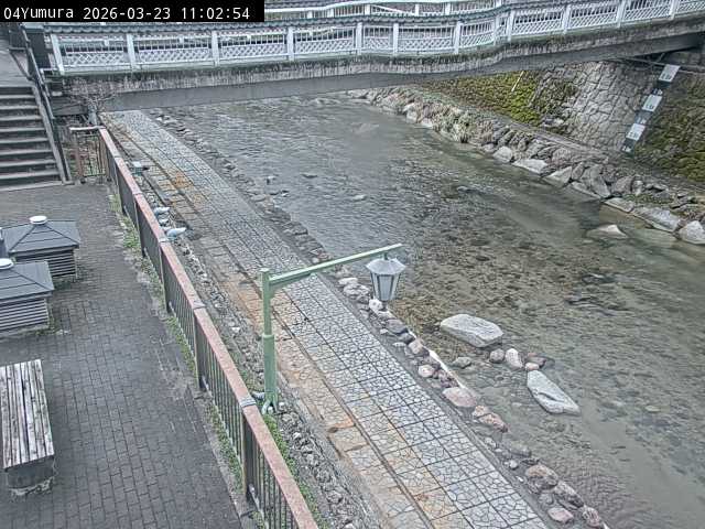 最新監視カメラ画像