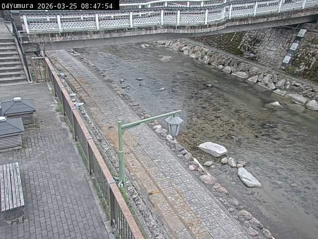 最新監視カメラ画像