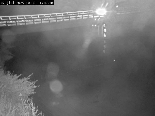 最新監視カメラ画像