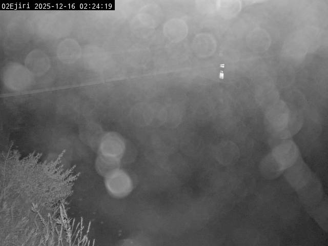 最新監視カメラ画像