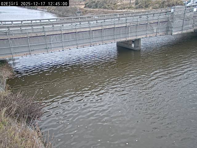 最新監視カメラ画像