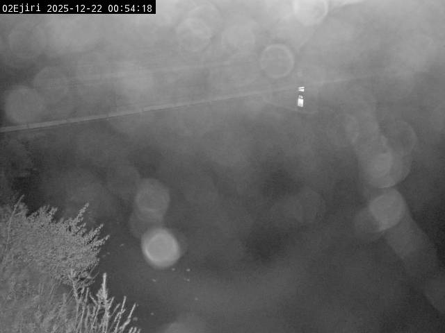 最新監視カメラ画像