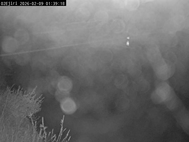 最新監視カメラ画像