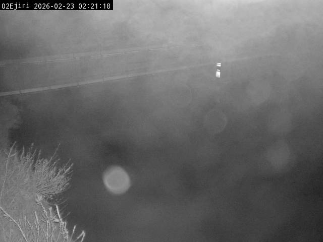 最新監視カメラ画像