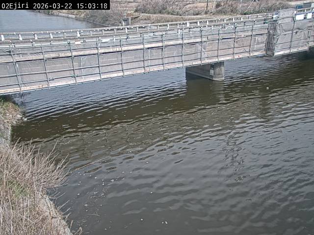 最新監視カメラ画像