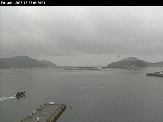 最新監視カメラ画像