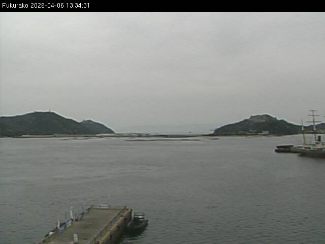 最新監視カメラ画像