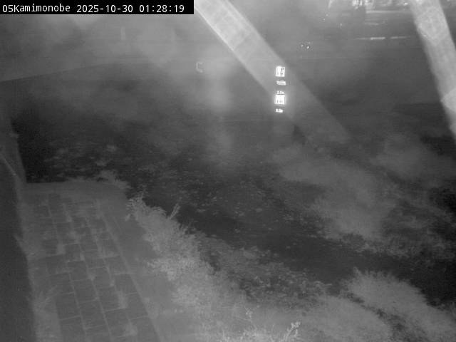 最新監視カメラ画像