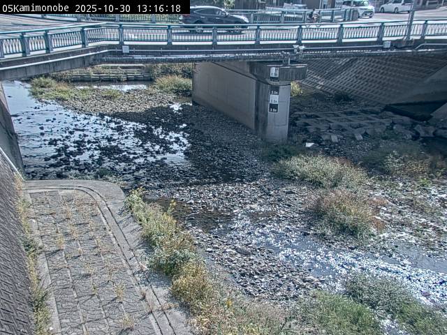 最新監視カメラ画像