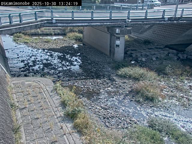 最新監視カメラ画像