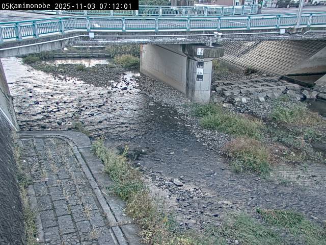 最新監視カメラ画像