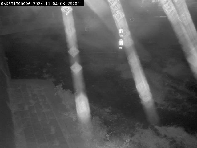 最新監視カメラ画像