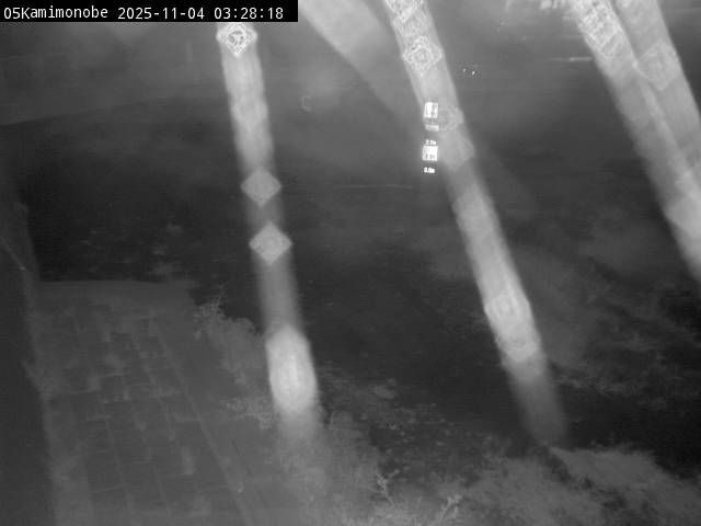 最新監視カメラ画像