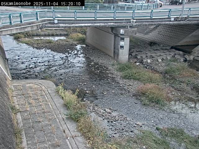 最新監視カメラ画像