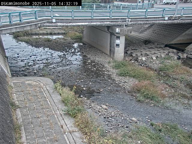 最新監視カメラ画像